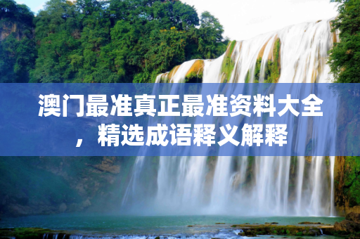 澳门最准真正最准资料大全，精选成语释义解释