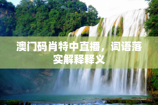 澳门码肖特中直播，词语落实解释释义