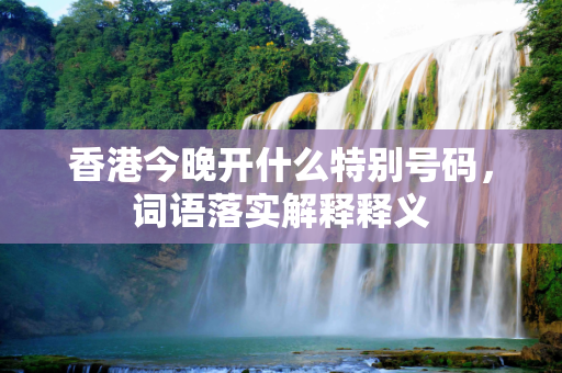 香港今晚开什么特别号码，词语落实解释释义