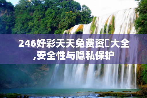246好彩天天免费资枓大全,安全性与隐私保护