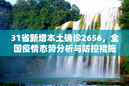 31省新增本土确诊2656，全国疫情态势分析与防控措施,31省新增本土确诊2656