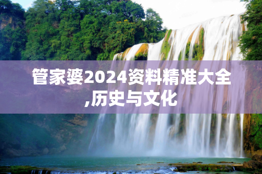 管家婆2024资料精准大全,历史与文化
