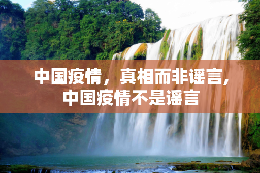 中国疫情，真相而非谣言,中国疫情不是谣言
