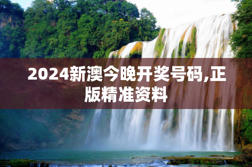 2024新澳今晚开奖号码,正版精准资料