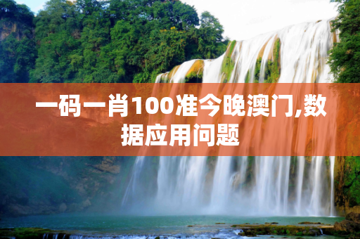 一码一肖100准今晚澳门,数据应用问题
