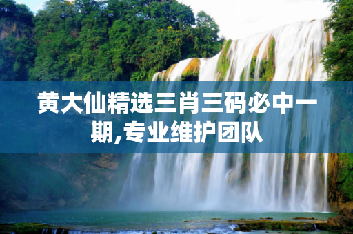 黄大仙精选三肖三码必中一期,专业维护团队