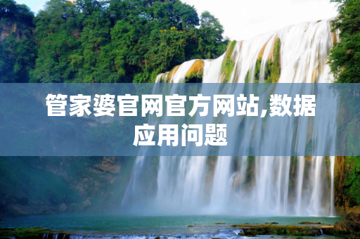 管家婆官网官方网站,数据应用问题