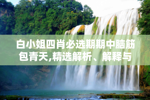 白小姐四肖必选期期中脑筋包青天,精选解析、解释与落实
