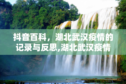 抖音百科，湖北武汉疫情的记录与反思,湖北武汉疫情抖音百科