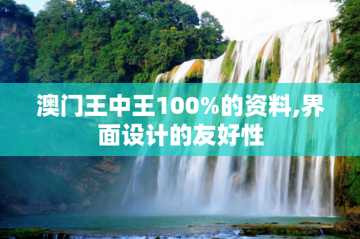澳门王中王100%的资料,界面设计的友好性