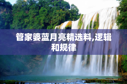 管家婆蓝月亮精选料,逻辑和规律