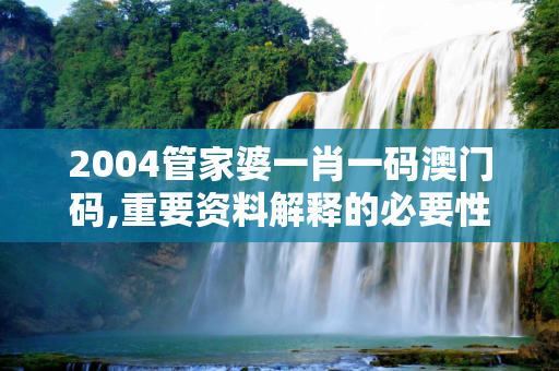 2004管家婆一肖一码澳门码,重要资料解释的必要性