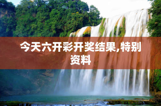 今天六开彩开奖结果,特别资料
