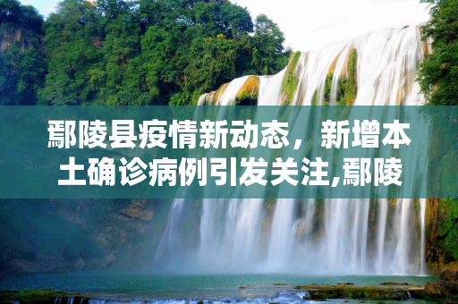 鄢陵县疫情新动态，新增本土确诊病例引发关注,鄢陵县新增本土确诊