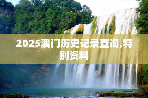 2025澳门历史记录查询,特别资料