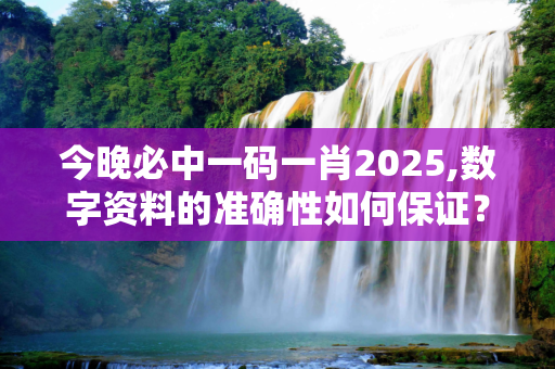 今晚必中一码一肖2025,数字资料的准确性如何保证？