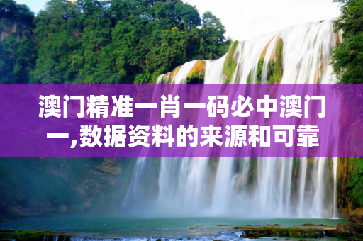 澳门精准一肖一码必中澳门一,数据资料的来源和可靠性