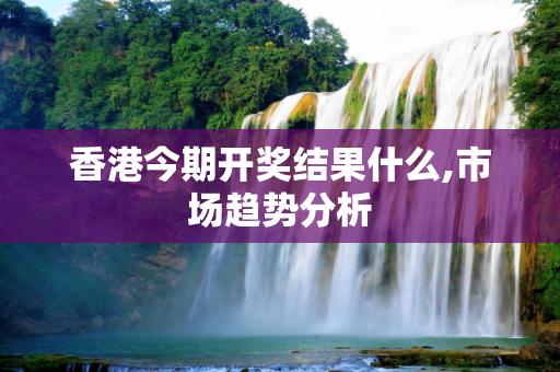 香港今期开奖结果什么,市场趋势分析