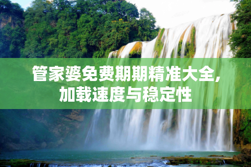 管家婆免费期期精准大全,加载速度与稳定性