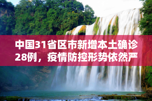 中国31省区市新增本土确诊28例，疫情防控形势依然严峻,31省区市新增本土确诊28例