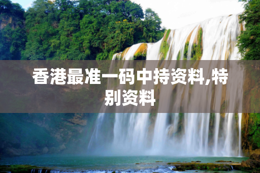香港最准一码中持资料,特别资料