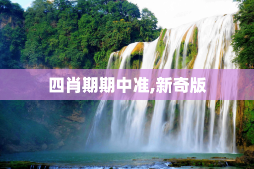 四肖期期中准,新奇版