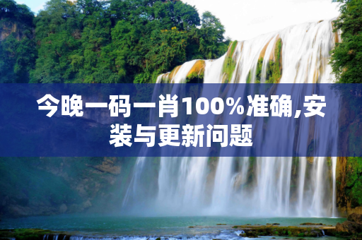 今晚一码一肖100%准确,安装与更新问题