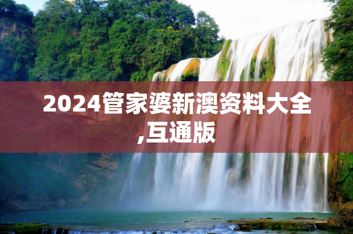 2024管家婆新澳资料大全,互通版