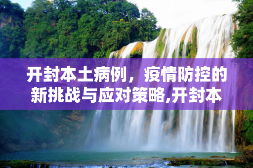 开封本土病例，疫情防控的新挑战与应对策略,开封本土病例