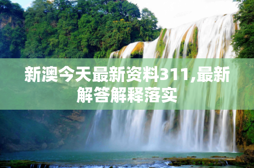新澳今天最新资料311,最新解答解释落实
