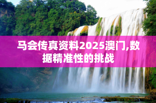 马会传真资料2025澳门,数据精准性的挑战