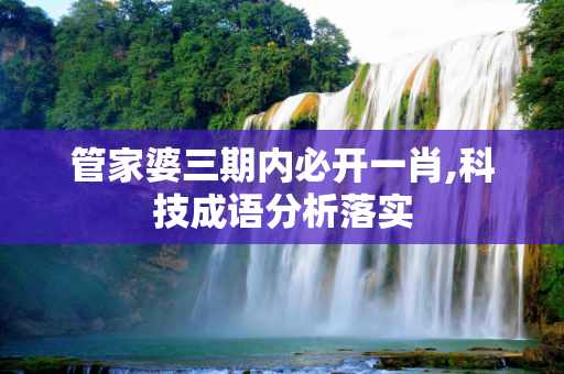 管家婆三期内必开一肖,科技成语分析落实