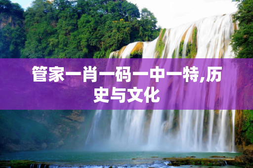 管家一肖一码一中一特,历史与文化