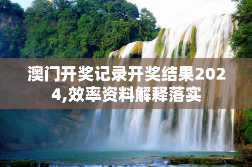 澳门开奖记录开奖结果2024,效率资料解释落实
