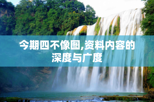 今期四不像图,资料内容的深度与广度