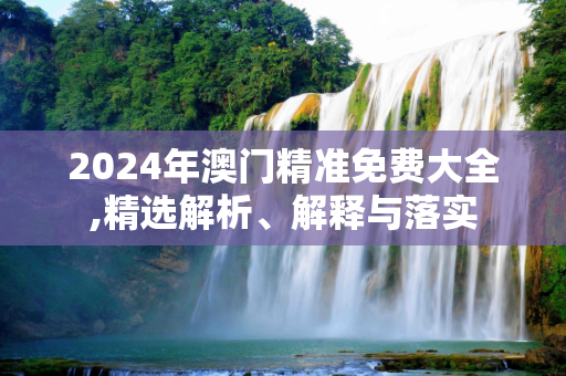 2024年澳门精准免费大全,精选解析、解释与落实