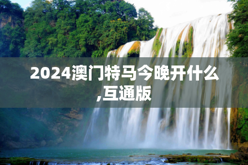 2024澳门特马今晚开什么,互通版