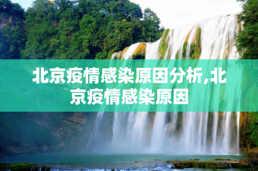 北京疫情感染原因分析,北京疫情感染原因