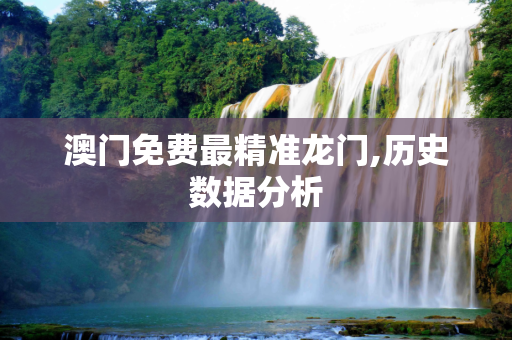 澳门免费最精准龙门,历史数据分析