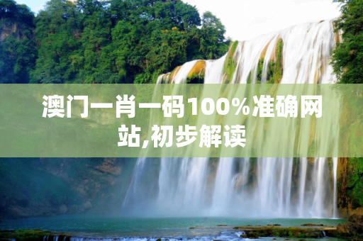 澳门一肖一码100%准确网站,初步解读
