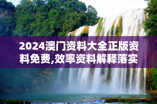 2024澳门资料大全正版资料免费,效率资料解释落实