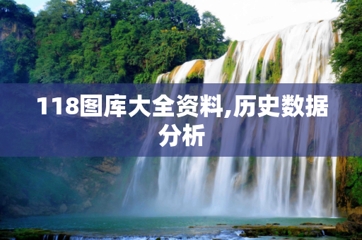 118图库大全资料,历史数据分析