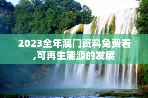 2023全年澳门资料免费看,可再生能源的发展