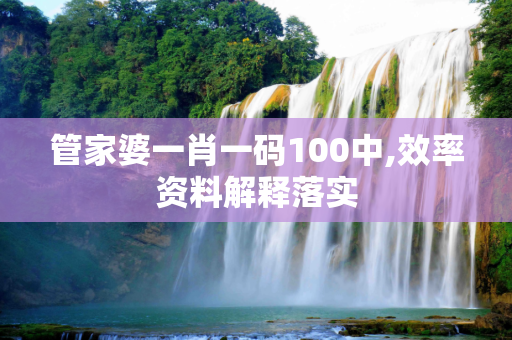 管家婆一肖一码100中,效率资料解释落实