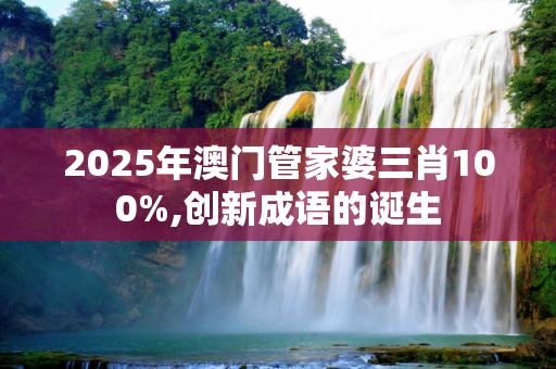 2025年澳门管家婆三肖100%,创新成语的诞生