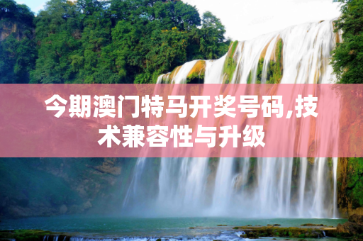 今期澳门特马开奖号码,技术兼容性与升级