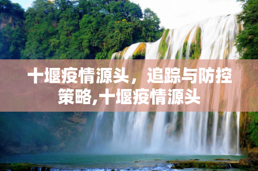 十堰疫情源头，追踪与防控策略,十堰疫情源头