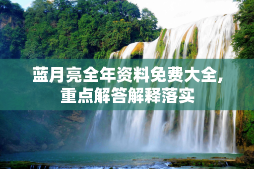 蓝月亮全年资料免费大全,重点解答解释落实