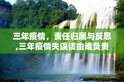 三年疫情，责任归属与反思,三年疫情失误该由谁负责？
