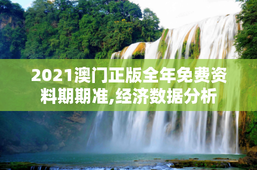 2021澳门正版全年免费资料期期准,经济数据分析